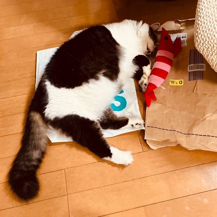 25a6face e8f5 448f 81cd 5a4956337f43 1729414081065