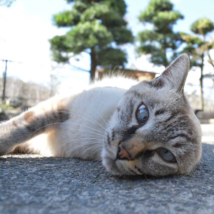 25a74c45 4f28 4dc2 b170 fc9200a4604b 1540701443134