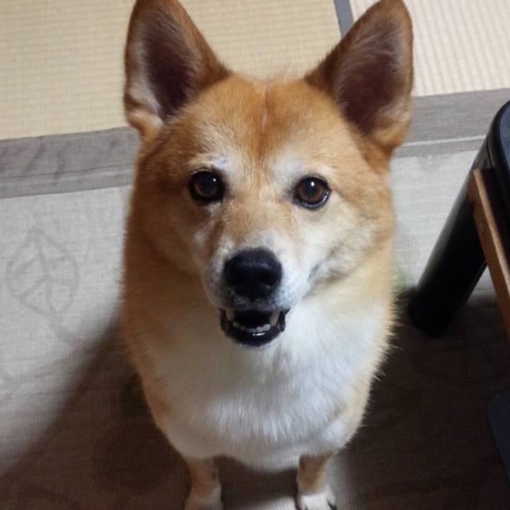 25a7601d c2c9 463b 8851 6474ef906389 1642037378286