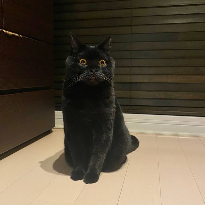 25a7d2b8 0a05 4390 a967 e3a00d7adc38 1764508121896