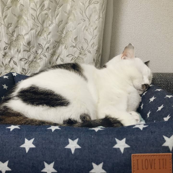 25a810bf d392 4a5d 817e b0fda330b6cb 1516436430062