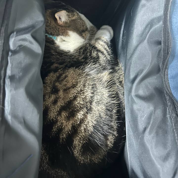 25a868d3 9fae 42df 8554 6727a0ce83b4 1765316457811