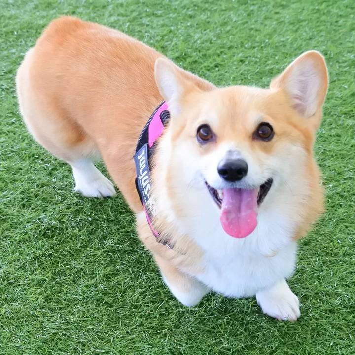 25a8abb6 3b6b 4273 9c72 f89c9fca1075 1610356112443