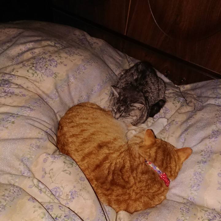 25a8ee74 c4bf 4f79 8039 a940b49bf282 1579528478500