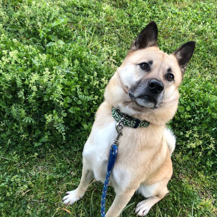 25a8fec9 aed3 447a 831a 4ccccc1fe365 1583917421414