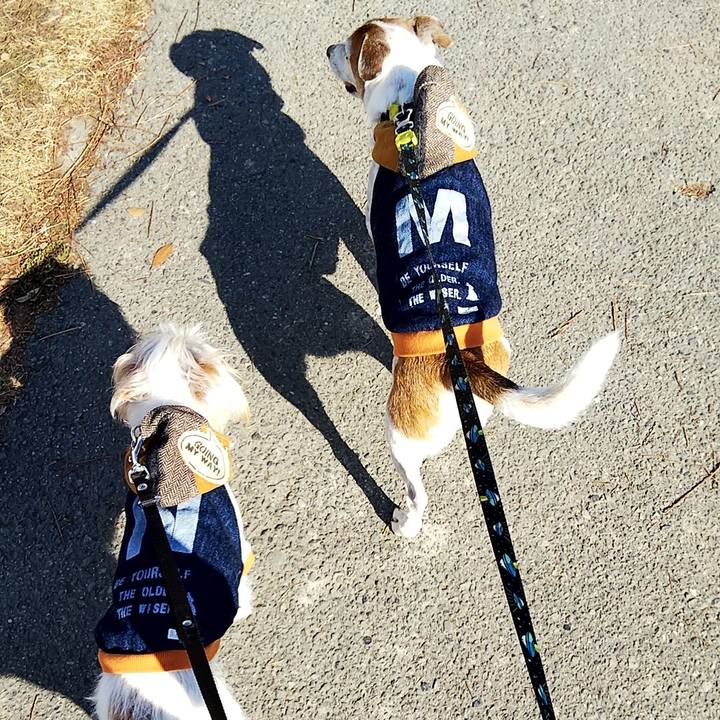 25a90801 5e93 4b0a a536 26757ad538c6 1547351998691