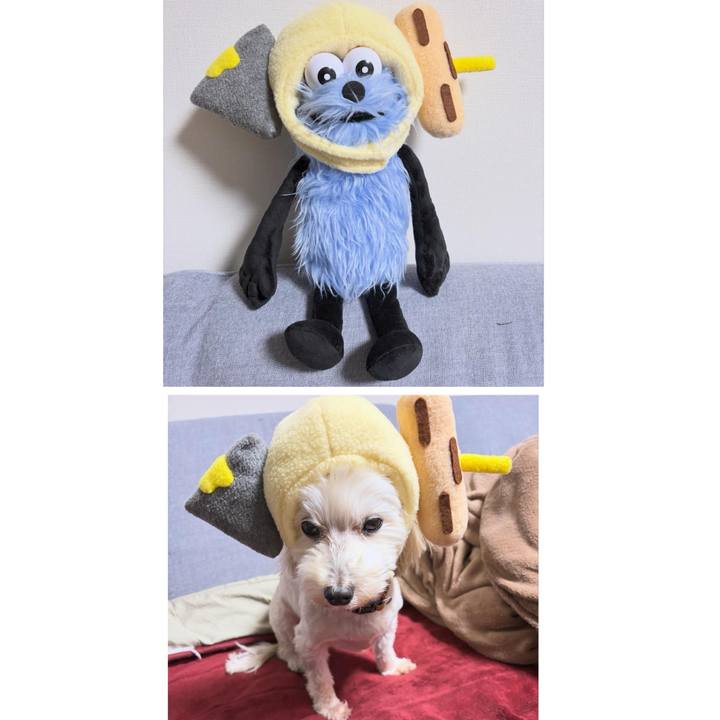 25a947af ad08 4c18 bd86 04a91c61b5e5 1768129059369