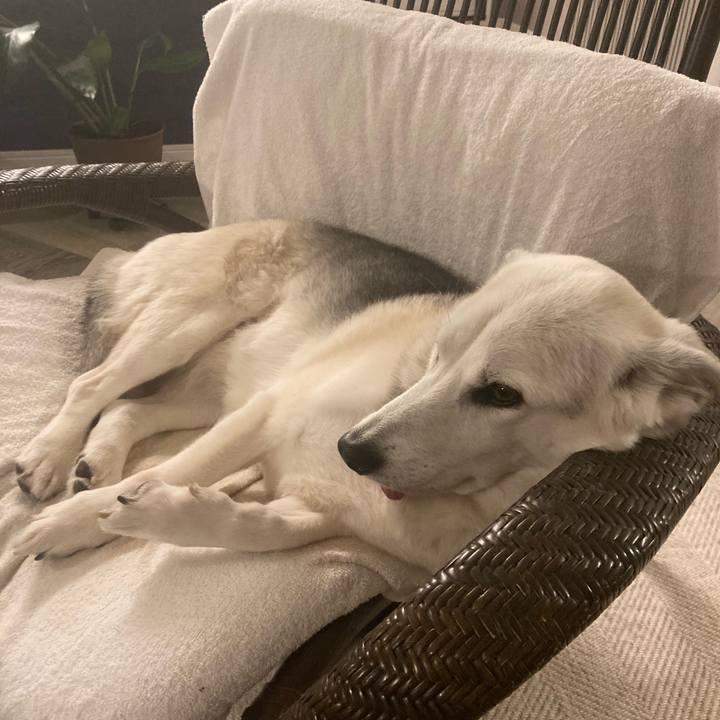 25a95f77 37a3 4a8d a009 3ddf4829e959 1703840029531