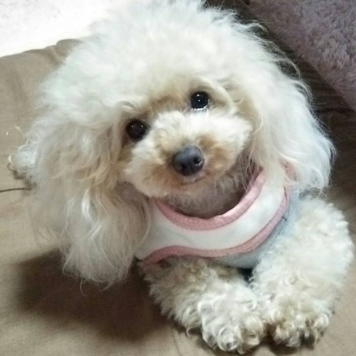 25a9870b ef6a 41b2 9fba 7bd795c32199 1539735532370