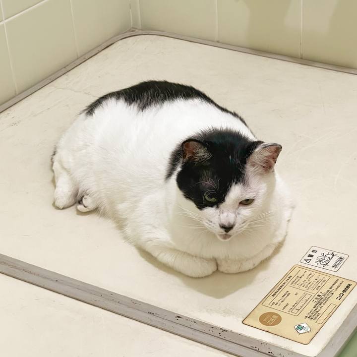 25a9cf0d 3307 4f89 8d19 ff4b56f7cfbe 1759963745242