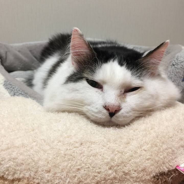 25aa0a3e 9405 4d66 bfd0 cd42529f3349 1541412991150