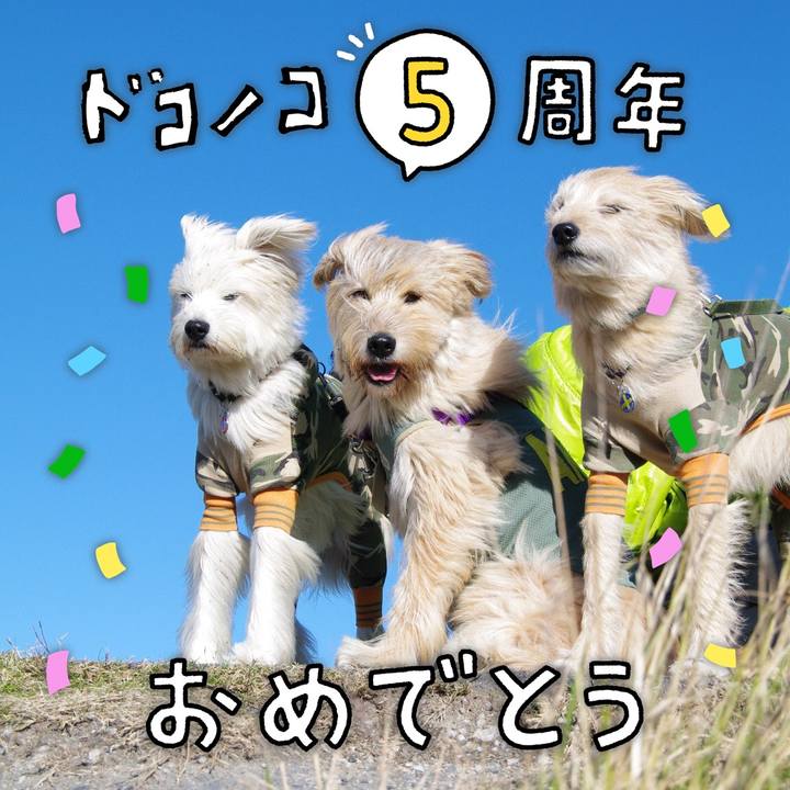 25aa4134 2f13 4037 9c9d 368f6ec98806 1622886307127