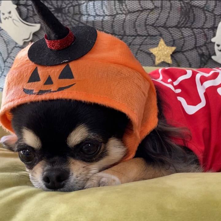 25aa51f7 e614 4c85 9a0c b89ee91973d3 1604123428604