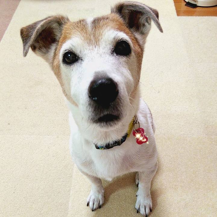 25aa9b46 772e 476e 8839 44d6c34b963b 1593553568732