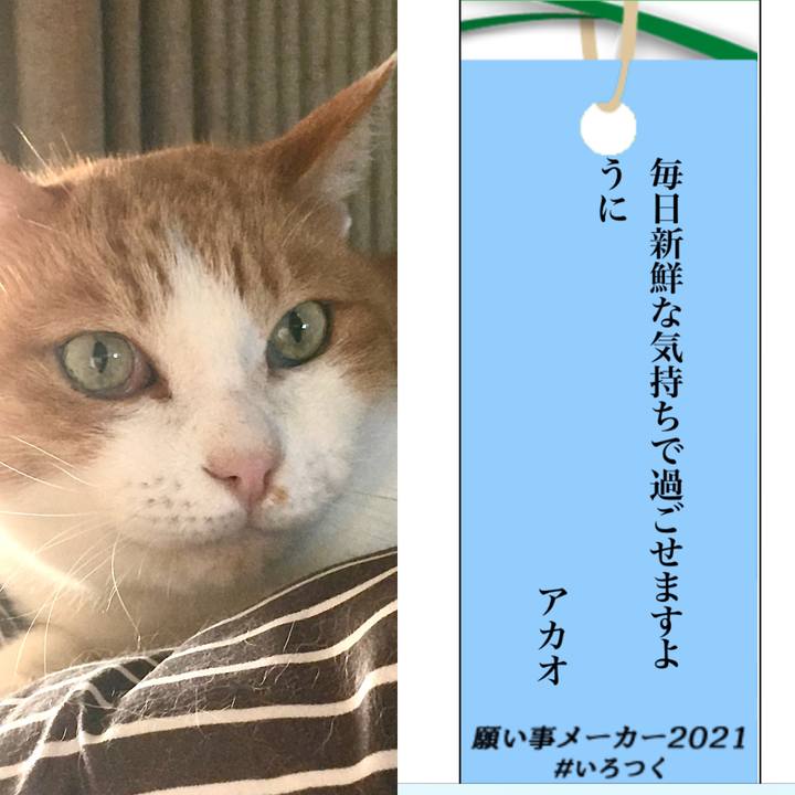 25aab202 976b 46f2 ab02 b21b42a14360 1625650072541