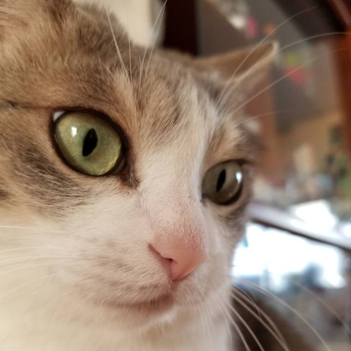 25aab3ec e77b 4799 9ca8 2705caea253c 1608944048943