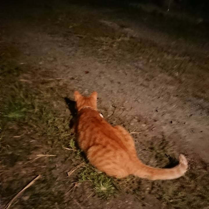 25aac397 adc0 44d1 9f3c 475fbde70da5 1569326646484