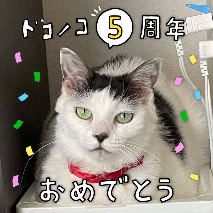 25aad3cb b399 4aed 84ab 48148e747858 1622862983021