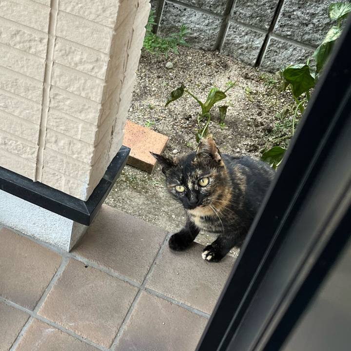 25aae5a1 8f85 456d a858 97eaea6a84b8 1707040714937