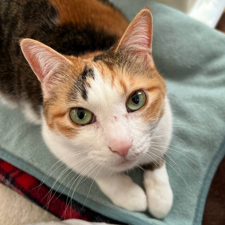 25aaeabc f253 43e0 8add 9281a06f8829 1765492522682