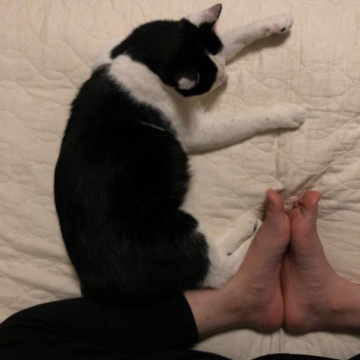 25aaf4f8 00b9 4fea 9c90 bf7afcbf4e7c 1557584863592