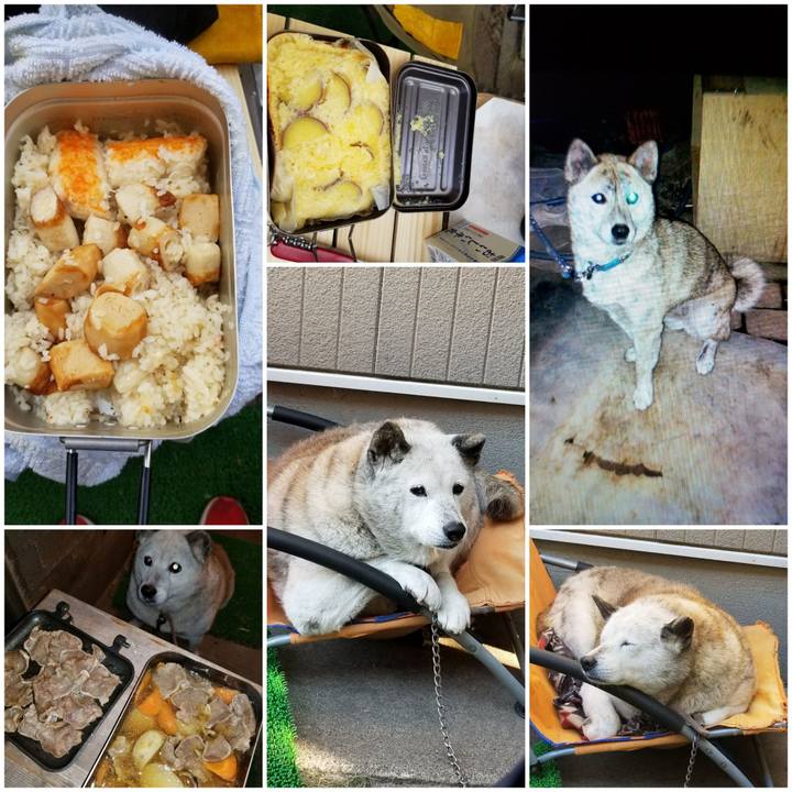 25aaff3d be58 408b 829c 6a33e0727c14 1761944852286