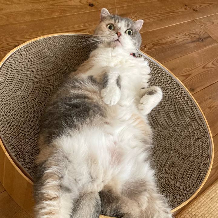 25ab147d c9a4 4898 841a 9e1f30025edc 1724670195805