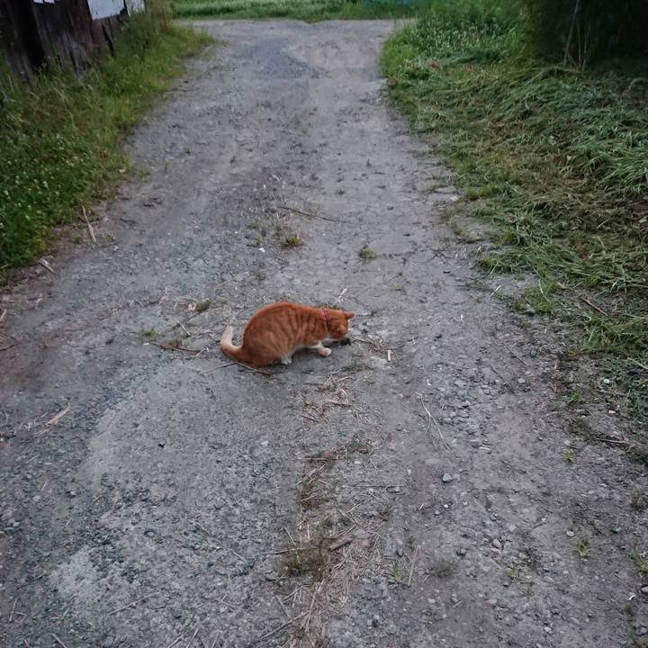 25ab1c41 3959 4ac5 ab54 e2b4a5aa7f16 1598126631357