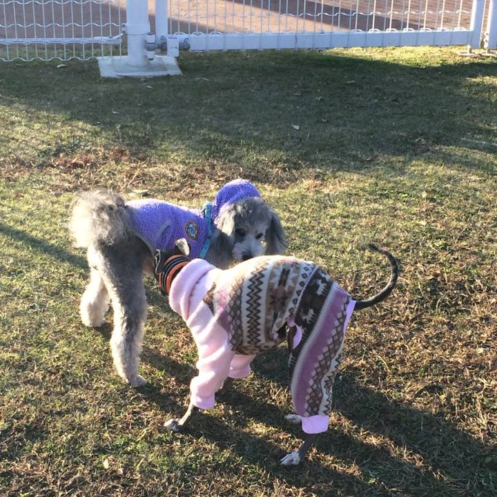 25ab4982 382b 476c b6b9 7419a76b5fdb 1764030810945