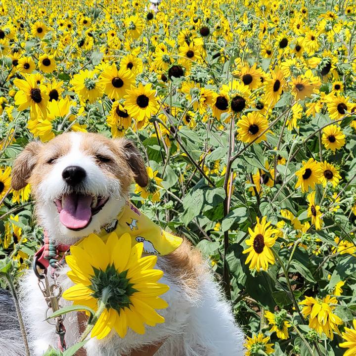 25ab4b53 7348 4d82 a191 0403fe807bdd 1691125649521