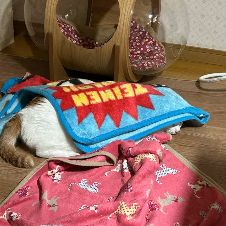 25ab535e baaf 4669 b3fa 95f5cf0489a3 1671744803832