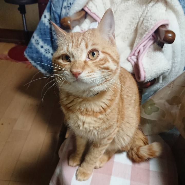 25ab59e7 8701 4445 ac69 8a447a5a07f1 1646129682496