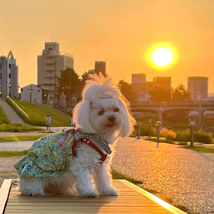 25ab61f5 f5ad 4b37 a838 160e4c2c9965 1763454254209