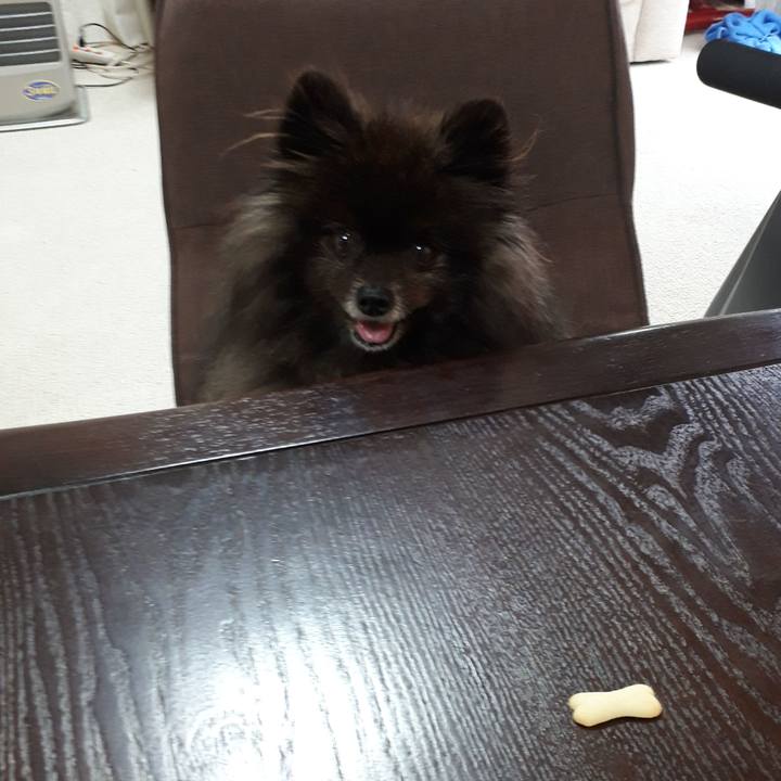 25ab6fb9 d818 46b3 b6ea b1760c50f288 1519174447844