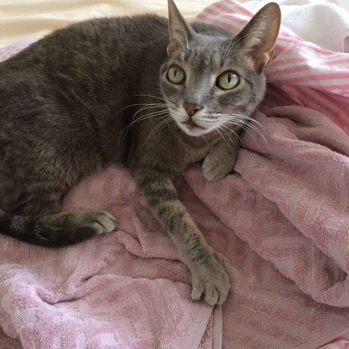 25ab88cd 8f40 4ea1 8456 ca49be79a723 1517065728969