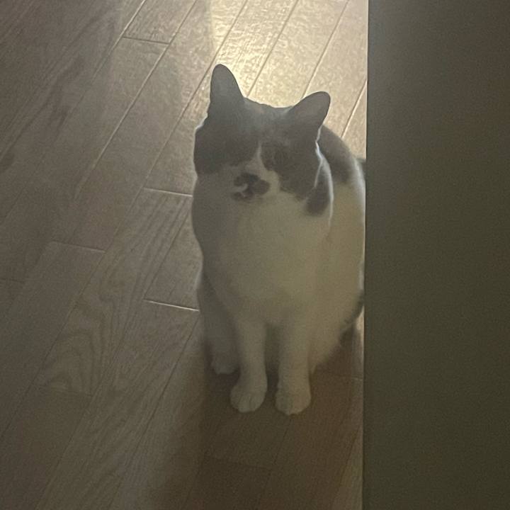 25ab9cc2 d47a 49e3 9258 8294009e01f9 1741058031372