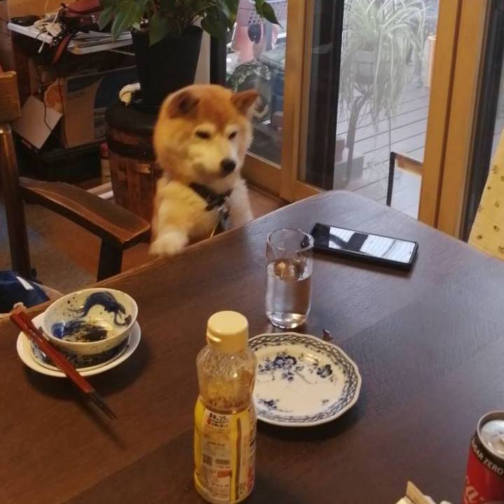 25abca01 819d 467a ae31 ed38e0035455 1594460076695