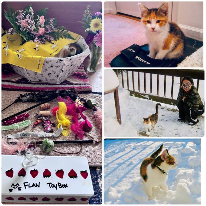 25abd87e 3046 456b 96fa c3d7c09cf5a7 1747777025937