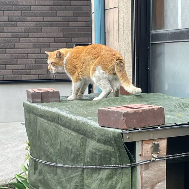 25ac0db3 9559 492c ab1c f7601d6ad5dc 1649243773538