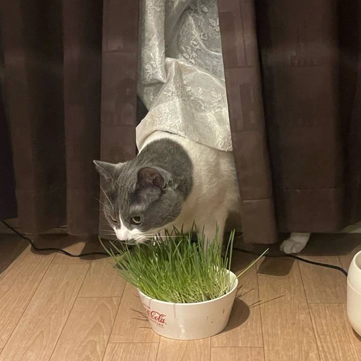 25ac2d54 226a 4f80 982d 5a8b99287848 1720530942644