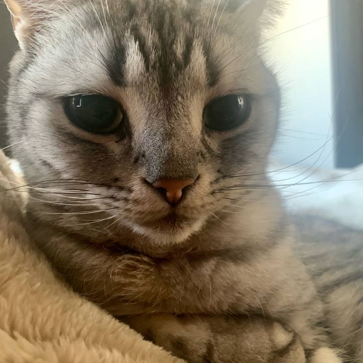 25ac634b c6dd 435f 99a2 fbd4b3e19871 1675210626969