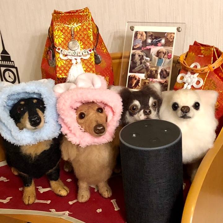 25ac9c06 5517 43f4 85b8 9bcf9169c155 1559903798206