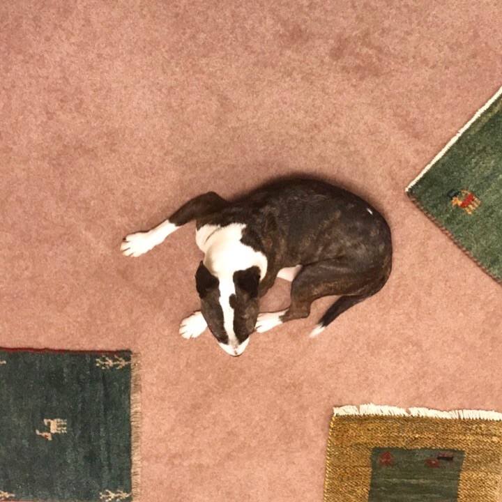 25aca445 4079 493d ab33 ac89cd01674e 1508661533380