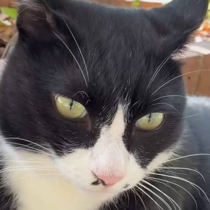 25acda4d 1836 488d 8d17 d379bdc36f9d 1760149662533