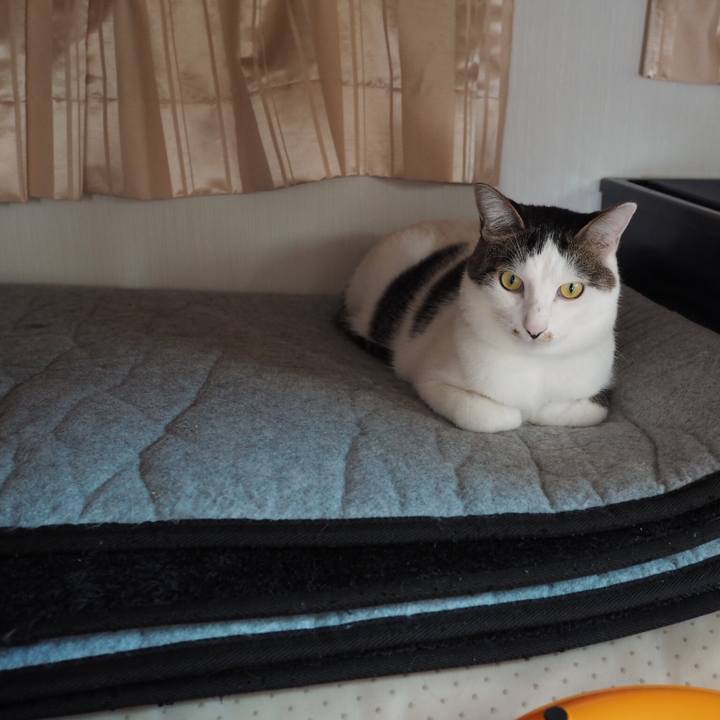 25ad015a 112f 436e a2a6 0d538d42509a 1538091382856