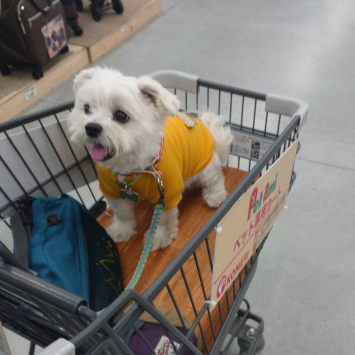 25ad129e 69b4 413e 93cb 228b09e3366a 1635595475335