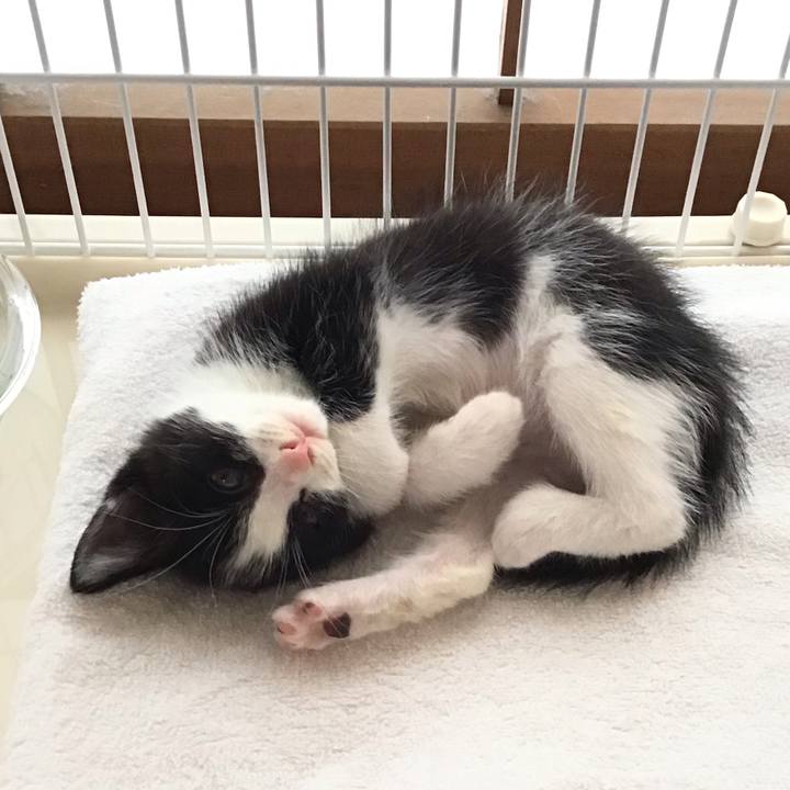 25ad1af8 8660 455e 92ce 15d2b07570b4 1622611717733