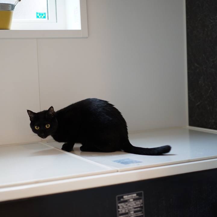 25ad74ad 8452 4a3c 9943 e384b808715f 1548390473205