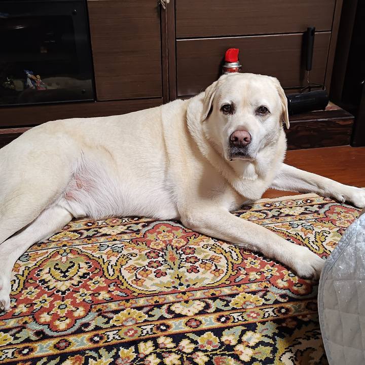 25ad7ec6 64e8 4114 89b9 02d7c63dc0e0 1759230584654