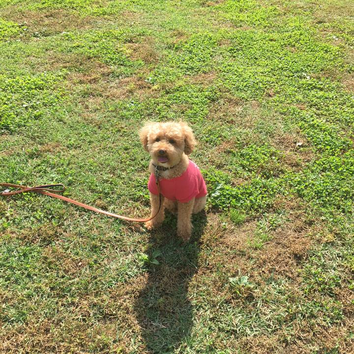 25ad9493 3bc6 4bf6 adab e0bbf8a1eaf7 1539262125287